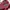 Japanese brand Streetwear Grunge Pria black red photo 7