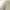 Vintage Casual dress Wanita cream photo 4