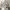 Vintage Casual dress Wanita cream photo 5