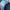 Adidas Streetwear Casual Sneakers Pria blue photo 4