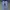 Adidas Streetwear Casual Sneakers Pria blue photo 3