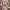 Avant Garde Prom Dress Wanita Burgundy White