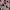 Avant Garde Prom dress Wanita burgundy white photo 2