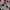 Avant Garde Prom Dress Wanita Burgundy White