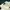 Vintage Streetwear Polo shirt Pria cream photo 4