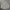 Uniqlo Minimalist Casual Casual shirt Pria silver gray photo 1
