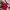 Casual Midi dress Wanita red photo 1