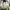 Levi's Casual Sneakers Pria khaki photo 6