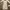 Avant Garde Midi dress Wanita white yellow photo 1
