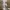 Avant Garde Casual Prom dress Wanita white gray photo 1
