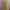 Muslim Going out dress Wanita yellow photo 1