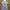 Avant Garde Casual Casual dress Wanita blue photo 2