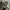 Polo Ralph Lauren Y2K Sportswear Hat Pria khaki photo 6