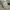 Polo Ralph Lauren Y2K Sportswear Hat Pria khaki photo 3