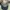 Polo Ralph Lauren Y2K Sportswear Hat Pria Khaki