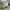 Polo Ralph Lauren Y2K Sportswear Hat Pria khaki photo 4