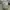 Polo Ralph Lauren Y2K Sportswear Hat Pria khaki photo 1