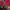 Vintage Luxury Prom dress Wanita red photo 3