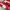 Puma Casual Sneakers Pria white red photo 2