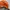 Made in USA Vintage Y2K Hat Pria orange black photo 6