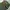 Made in USA Vintage Y2K Hat Pria green photo 2