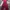 Casual Jumpsuit Wanita burgundy photo 1