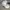 Polo Ralph Lauren Streetwear Y2K Hat Pria white photo 3