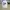 Polo Ralph Lauren Streetwear Y2K Hat Pria white photo 1