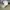 Polo Ralph Lauren Streetwear Y2K Hat Pria white photo 2