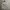 Polo Ralph Lauren Luxury Hoody Pria white photo 2