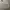 Polo Ralph Lauren Luxury Hoody Pria white photo 3