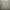 Polo Ralph Lauren Luxury Hoody Pria White