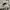 Polo Ralph Lauren Luxury Hoody Pria white photo 6