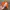Chase Nascar Streetwear Y2K Hat Pria orange photo 4