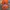 Chase Nascar Streetwear Y2K Hat Pria orange photo 5