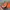 Chase Nascar Streetwear Y2K Hat Pria Orange