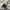 Adidas Streetwear Hoody Pria white photo 6