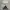 Adidas Streetwear Hoody Pria white photo 5