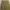 Zara Streetwear Y2K Pria cream tan photo 2