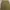 Zara Streetwear Y2K Pria cream tan photo 4