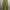Zara Streetwear Y2K Pria cream tan photo 1
