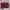 Casual Corset Wanita burgundy photo 2
