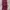 Casual Corset Wanita burgundy photo 3