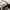Emporio Armani Sportswear Casual Sneakers Pria multicolor photo 7