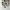 Emporio Armani Sportswear Casual Sneakers Pria multicolor photo 6