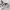 Emporio Armani Sportswear Casual Sneakers Pria Multicolor
