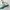 Adidas Streetwear Casual Sneakers Wanita multicolor photo 2