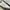 Adidas Casual Sneakers Wanita white gray photo 2