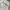 Japanese brand Streetwear Casual Sweater Pria white gray photo 2