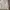 Polo Ralph Lauren Vintage Streetwear Harrington Jacket Pria Cream Tan